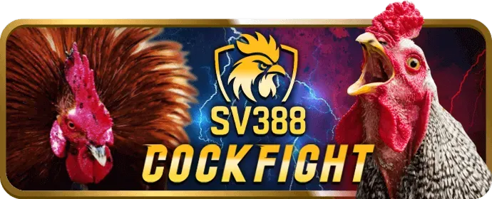 Chương Trình VIP rt88 casino